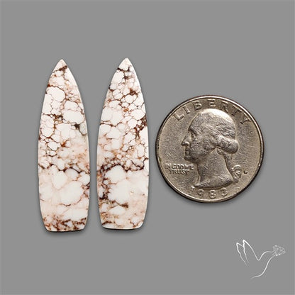 Wild Horse Jasper Pair