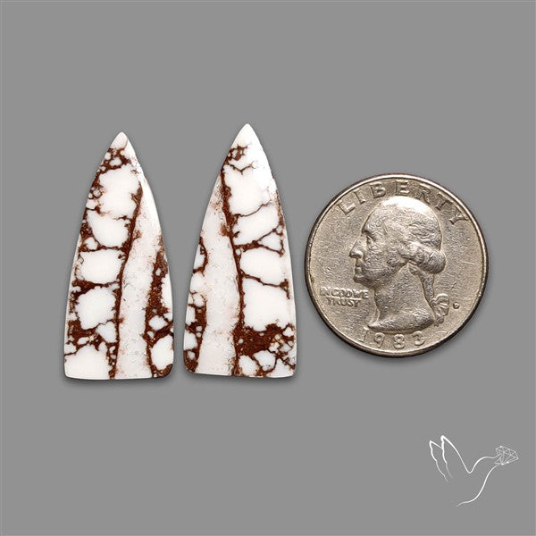Wild Horse Jasper Pair