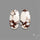 Wild Horse Jasper Pair