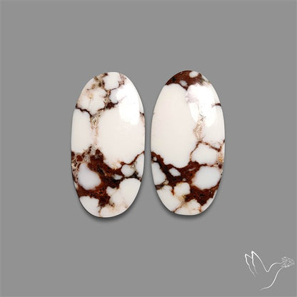 Wild Horse Jasper Pair