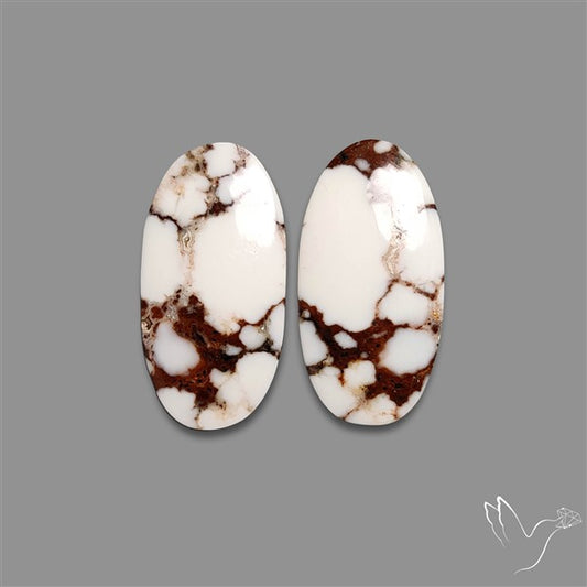 Wild Horse Jasper Pair