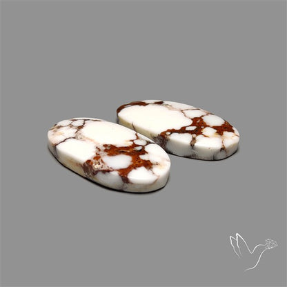 Wild Horse Jasper Pair