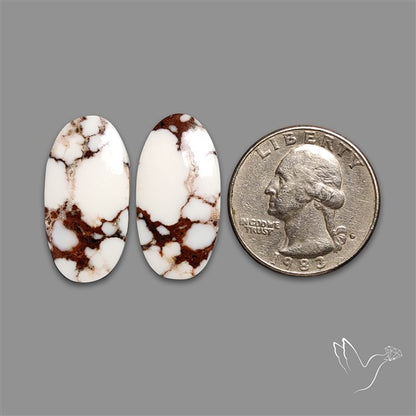 Wild Horse Jasper Pair