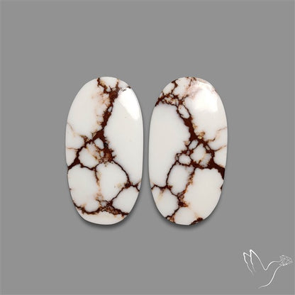 Wild Horse Jasper Pair