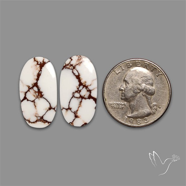 Wild Horse Jasper Pair