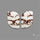 Wild Horse Jasper Pair