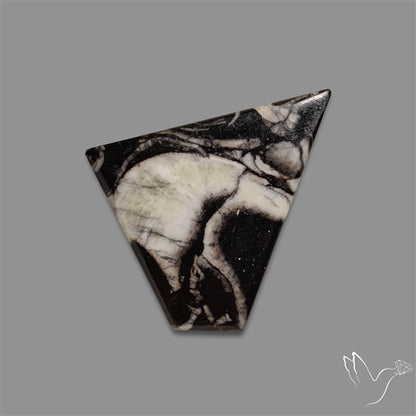 Orthoceras Fossil Cabochon