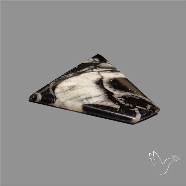 Orthoceras Fossil Cabochon