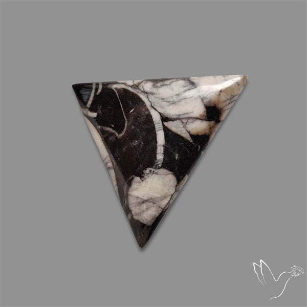 Orthoceras Fossil Cabochon