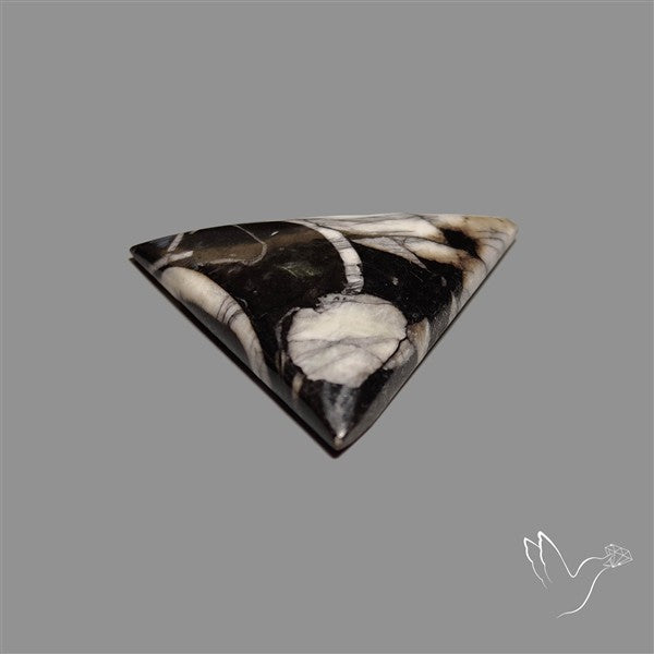 Orthoceras Fossil Cabochon