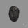 Trilobite Fossil