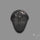 Trilobite Fossil