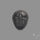 Trilobite Fossil