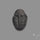 Trilobite Fossil