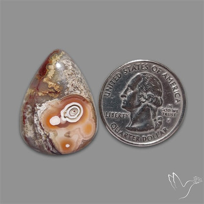 Laguna Lace Agate Cabochon