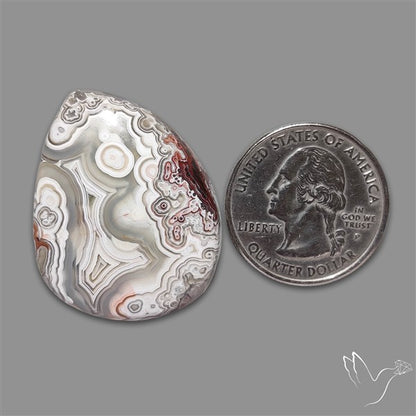 Laguna Lace Agate Cabochon