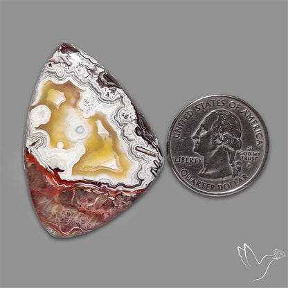 Laguna Lace Agate Cabochon