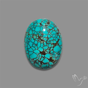Spiderweb Hubei Turquoise Cabochon