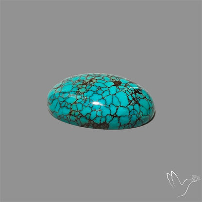 Spiderweb Hubei Turquoise Cabochon