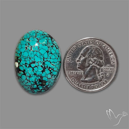 Spiderweb Hubei Turquoise Cabochon