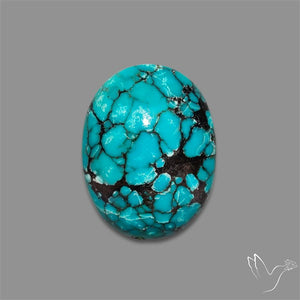 Spiderweb Hubei Turquoise Cabochon