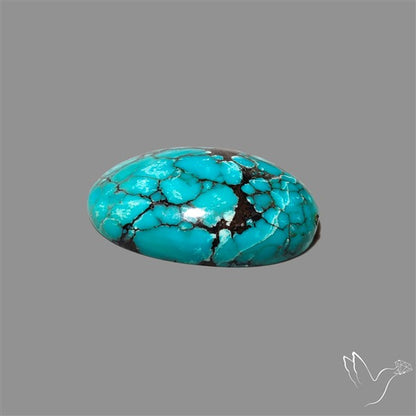 Spiderweb Hubei Turquoise Cabochon
