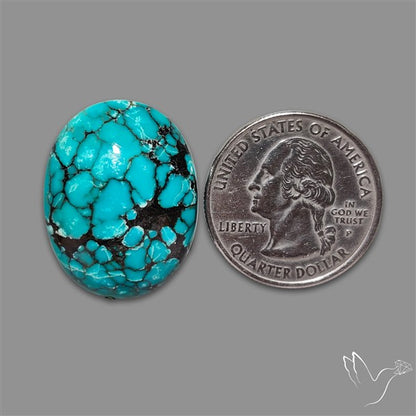 Spiderweb Hubei Turquoise Cabochon