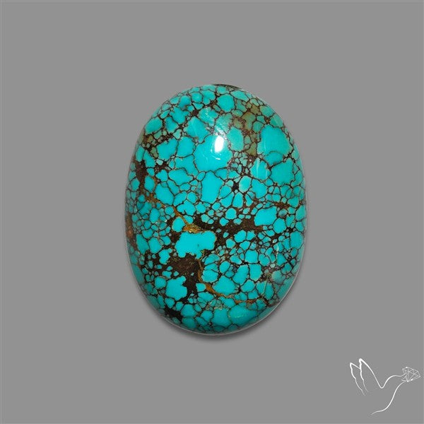 Spiderweb Hubei Turquoise Cabochon