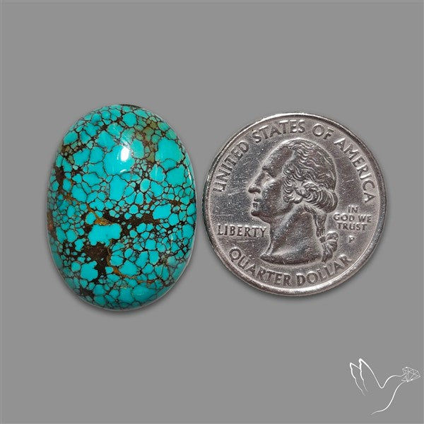 Spiderweb Hubei Turquoise Cabochon