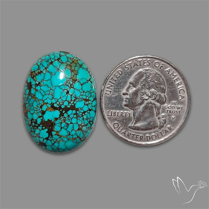 Spiderweb Hubei Turquoise Cabochon