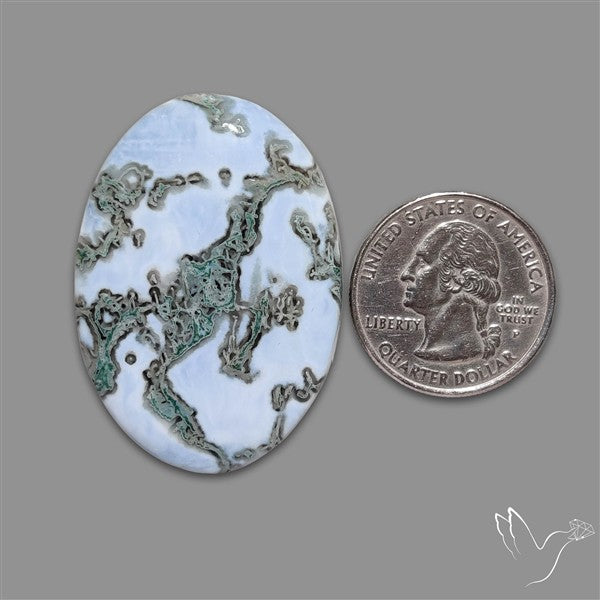 Rare Owyhee Blue Opal with Moss Inclusions Cabochon