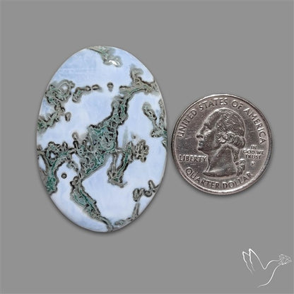 Rare Owyhee Blue Opal with Moss Inclusions Cabochon