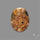 Aonite Fossil Cabochon