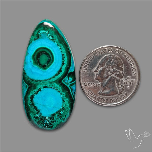 Chrysocolla In Malachite Cabochon