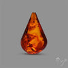 Baltic Amber Briolette Pear Shaped Cabochon