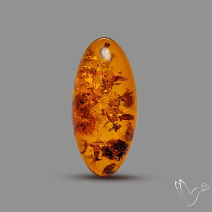 Baltic Amber Cabochon