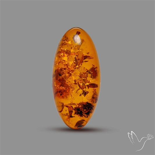 Baltic Amber Cabochon