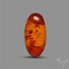 Baltic Amber Cabochon