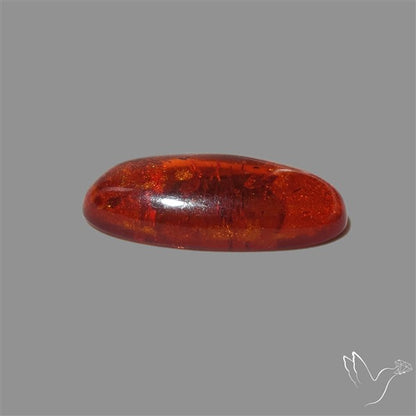 Baltic Amber Cabochon