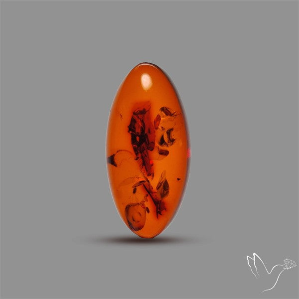 Baltic Amber Cabochon