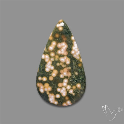 Orbicular Ocean Jasper Cabochon