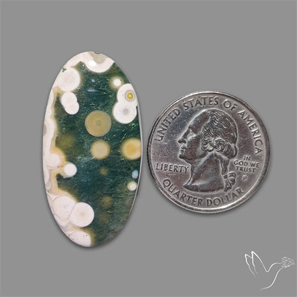Orbicular Ocean Jasper Cabochon