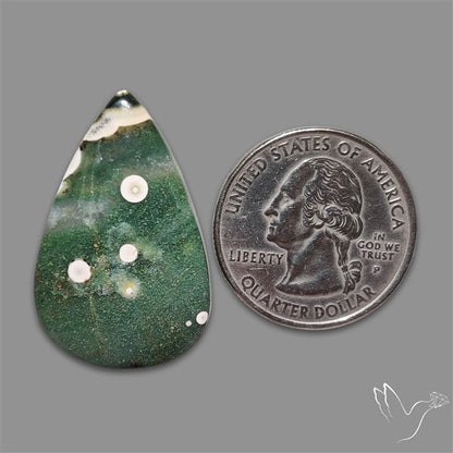 Orbicular Ocean Jasper Cabochon