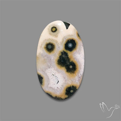 Orbicular Ocean Jasper Cabochon