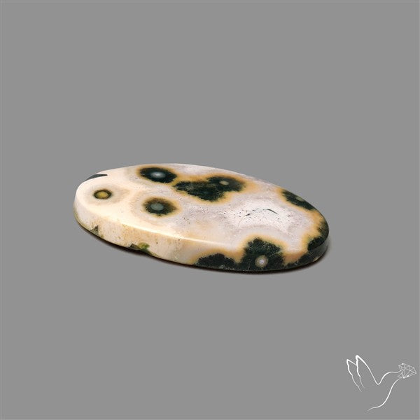 Orbicular Ocean Jasper Cabochon