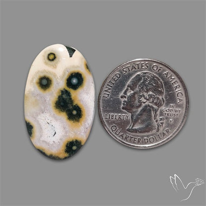Orbicular Ocean Jasper Cabochon