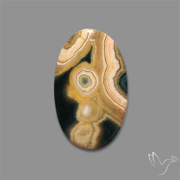 Orbicular Ocean Jasper Cabochon