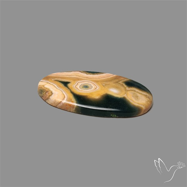 Orbicular Ocean Jasper Cabochon