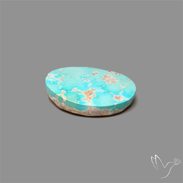 Rare Nishapuri Feroza Turquoise Cabochon Authentic