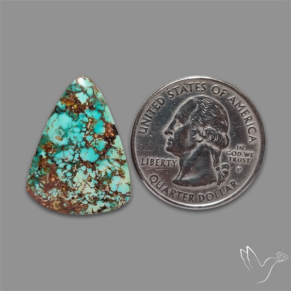 Rare Nishapuri Feroza Turquoise Cabochon Authentic